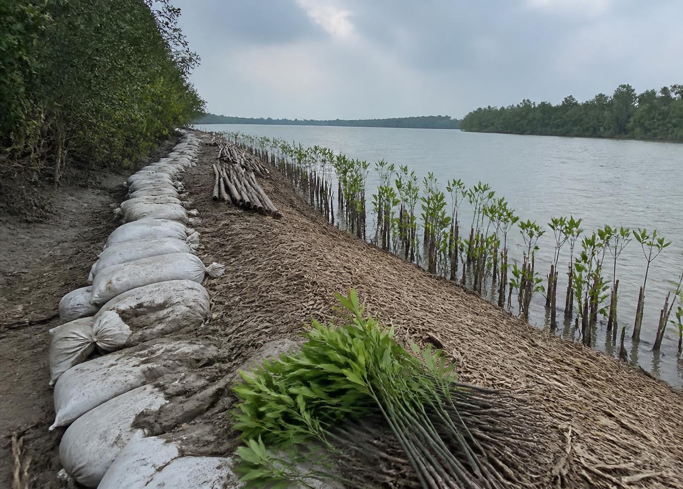 Community-led development in coastal Bangladesh